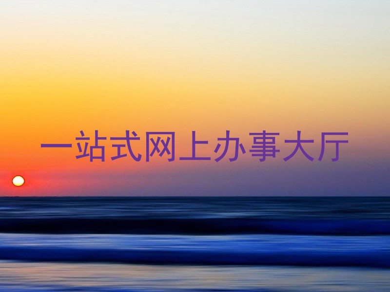 一站式网上办事大厅