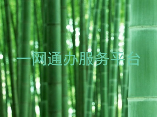 一网通办服务平台