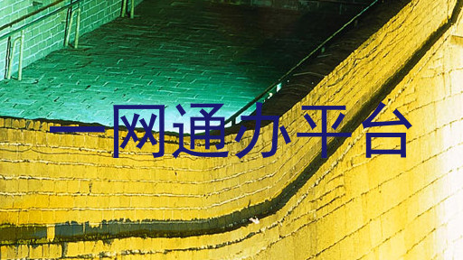 一网通办平台