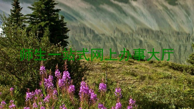 师生一站式网上办事大厅