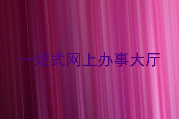 一站式网上办事大厅