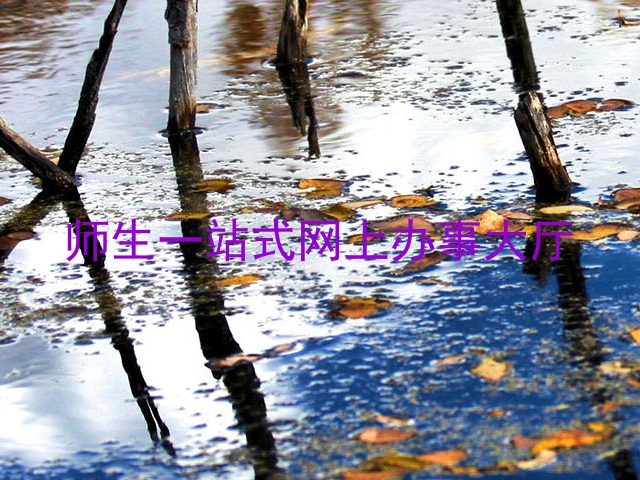 师生一站式网上办事大厅
