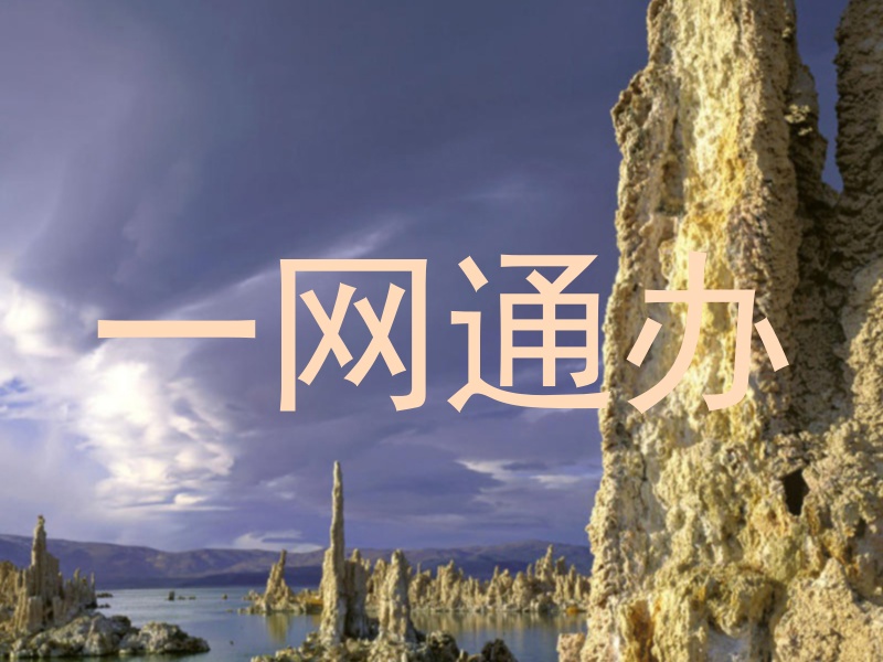 一网通办
