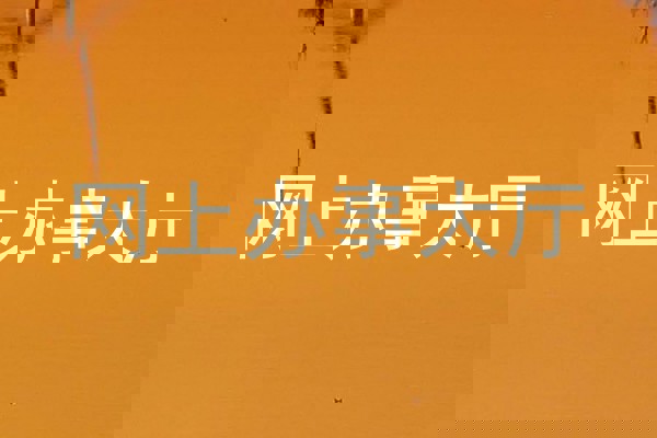 网上办事大厅