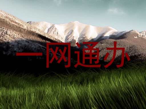 一网通办