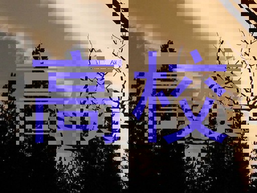 高校
