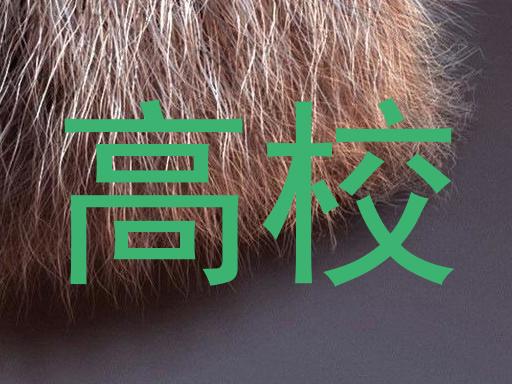 高校