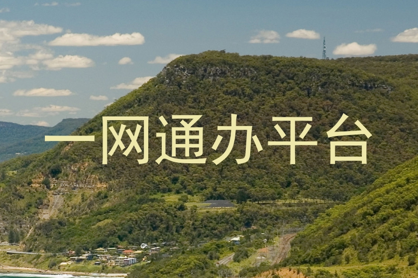 一网通办平台