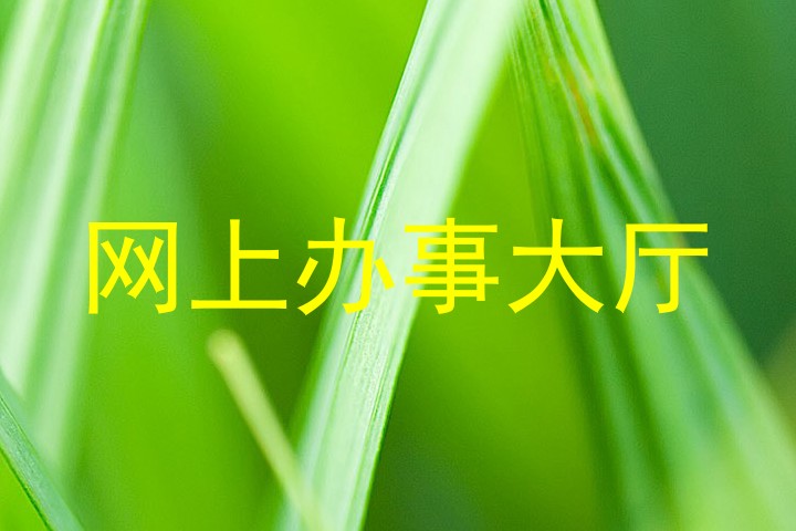 网上办事大厅
