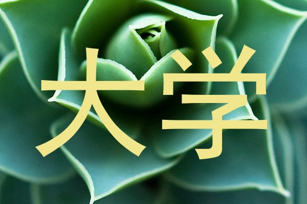 大学