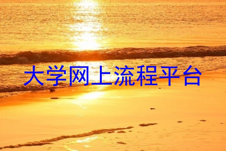 大学网上流程平台