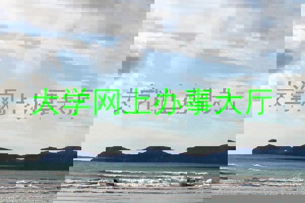 大学网上办事大厅