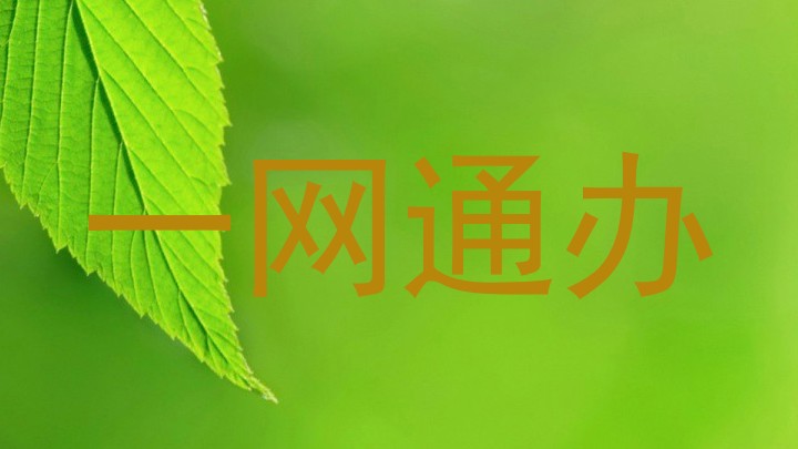 一网通办