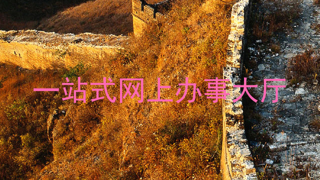一站式网上办事大厅