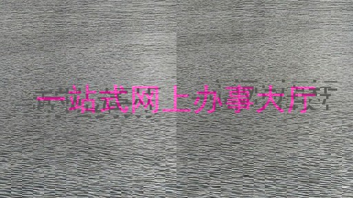 一站式网上办事大厅