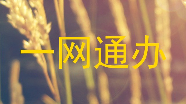 一网通办