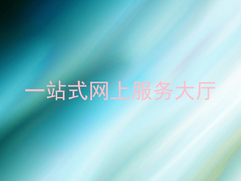 一站式网上服务大厅