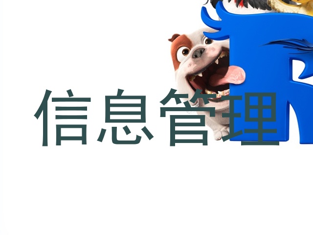 信息管理
