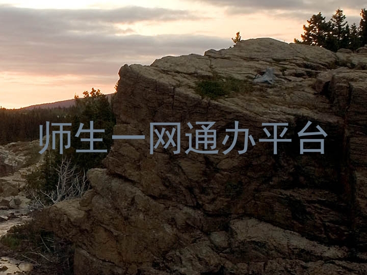 师生一网通办平台