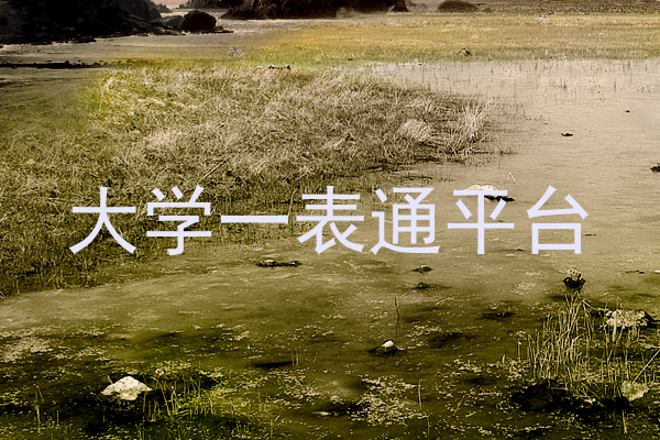 大学一表通平台