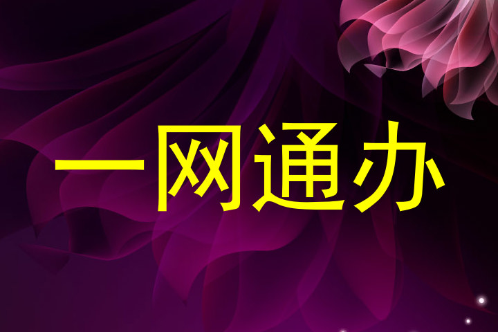 一网通办
