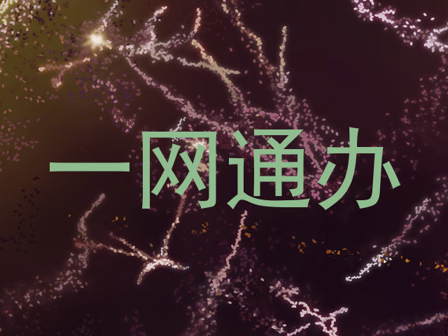 一网通办