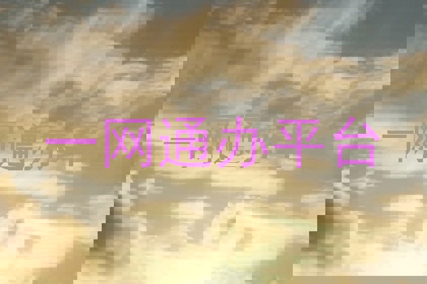 一网通办平台