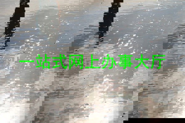 一站式网上办事大厅