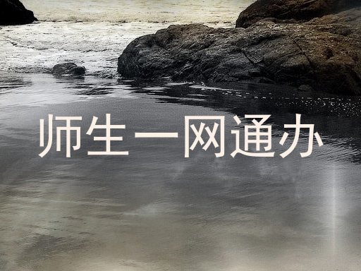 师生一网通办