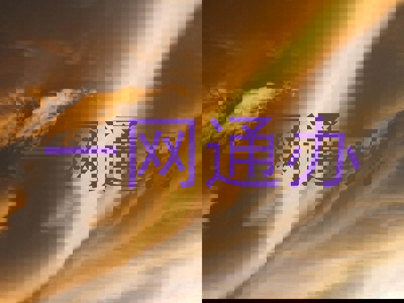 一网通办