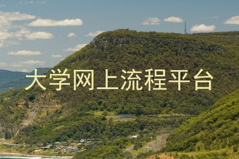 大学网上流程平台
