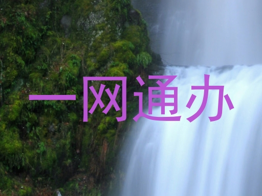 一网通办