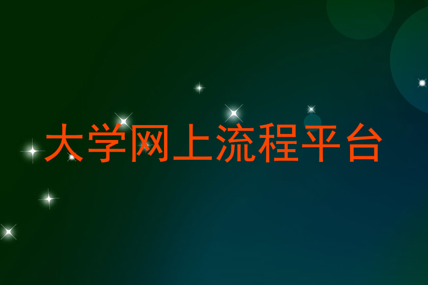 大学网上流程平台