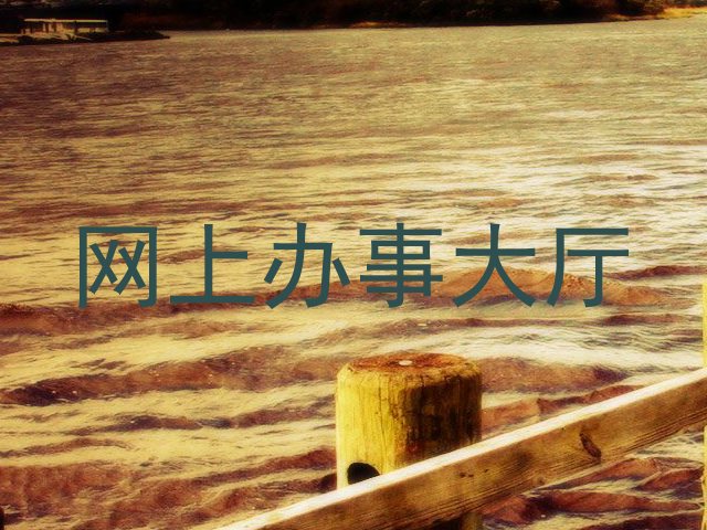 网上办事大厅