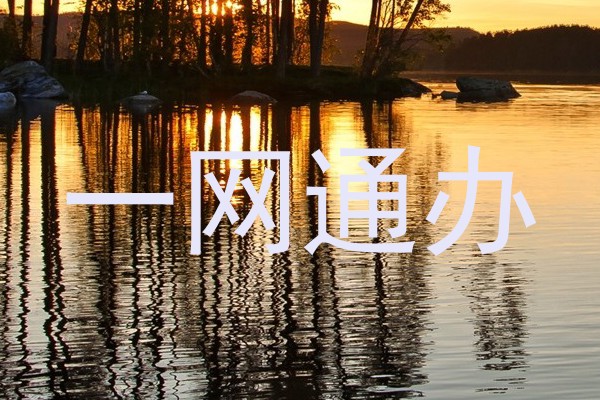 一网通办