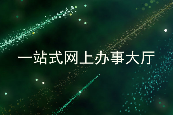 一站式网上办事大厅