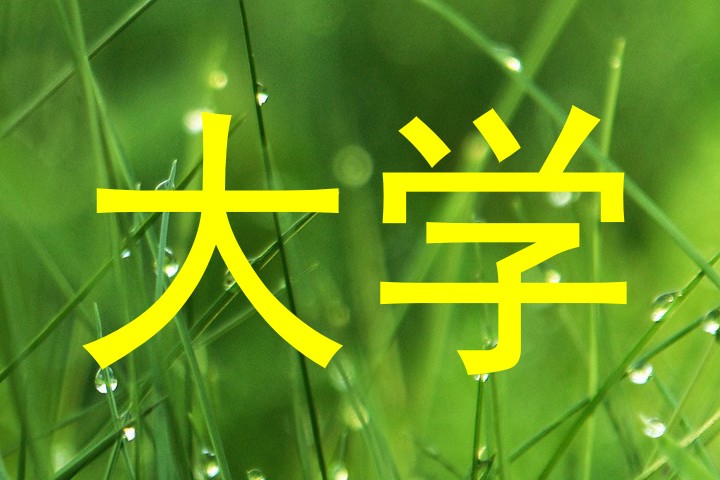 大学