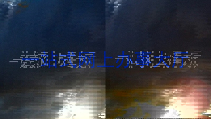 一站式网上办事大厅