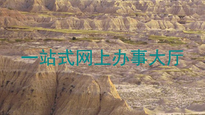 一站式网上办事大厅