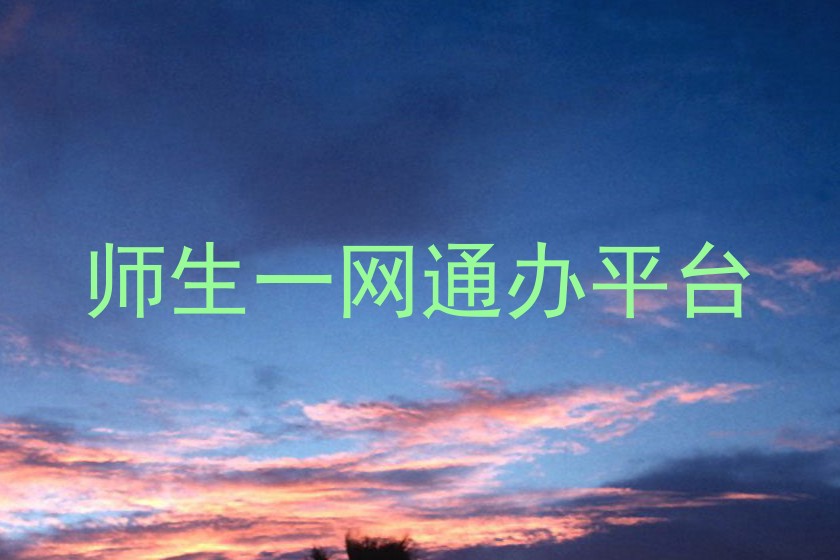 师生一网通办平台