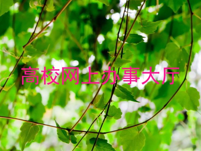 高校网上办事大厅
