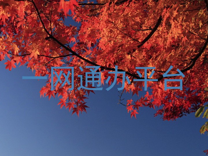 一网通办平台