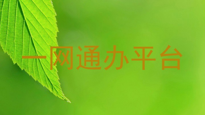 一网通办平台