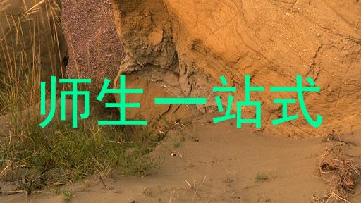 师生一站式
