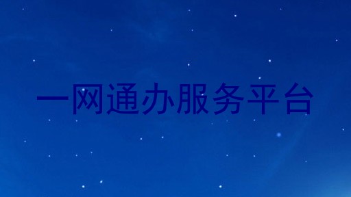 一网通办服务平台