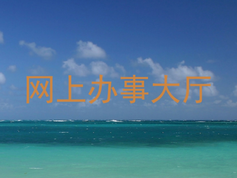 网上办事大厅