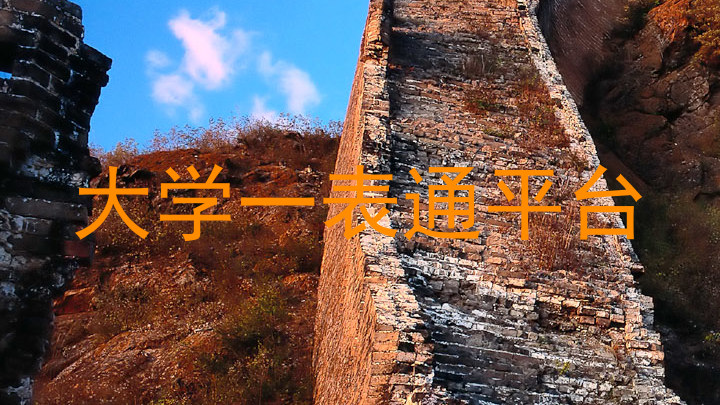 大学一表通平台