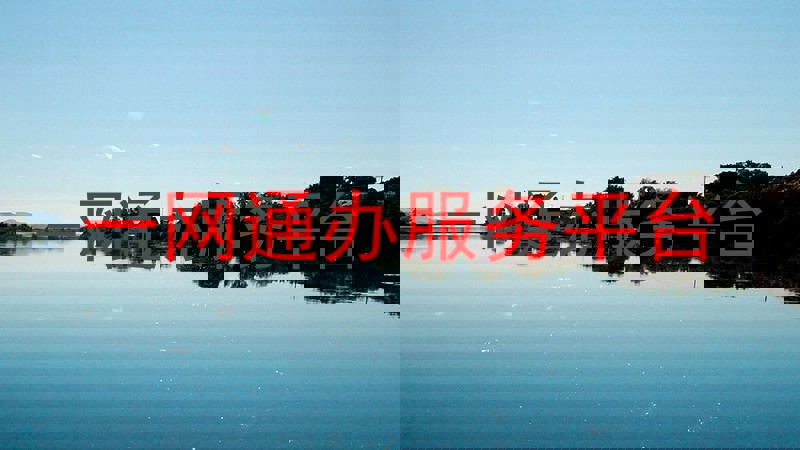 一网通办服务平台