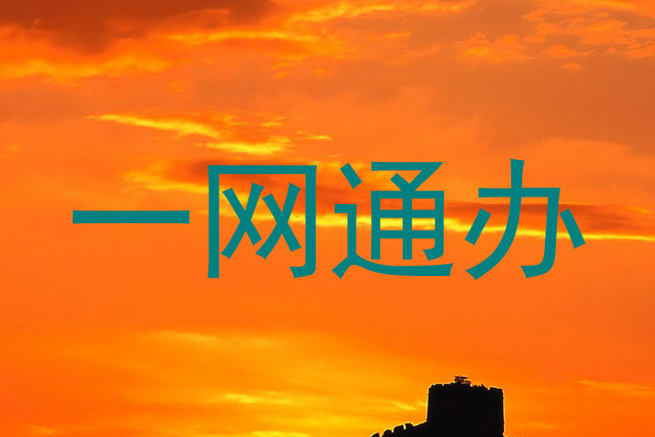 一网通办