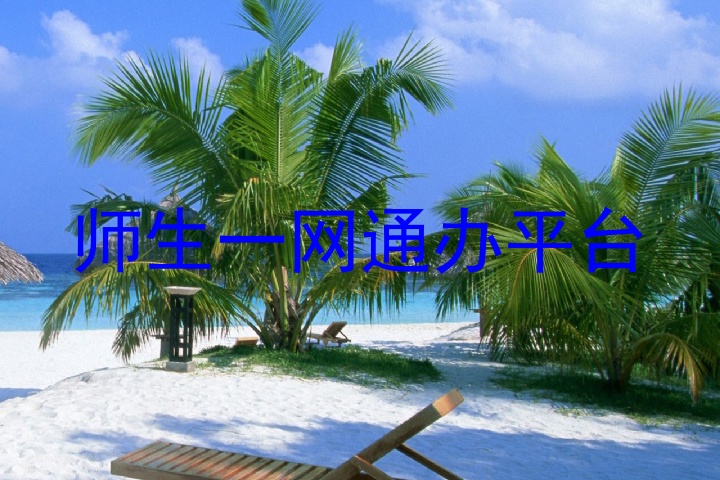 师生一网通办平台